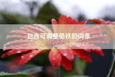 包含可深圳调整垫铁的词条