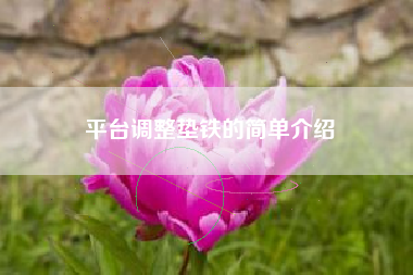 平台深圳调整垫铁的简单介绍