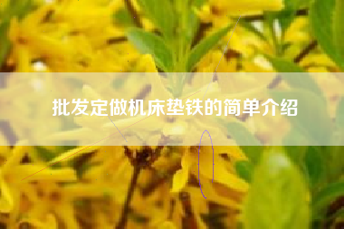 批发定做机床垫铁的简单介绍