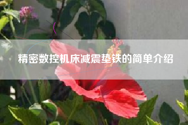 精密数控机床减震垫铁的简单介绍