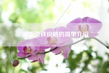 减震垫铁价格的简单介绍