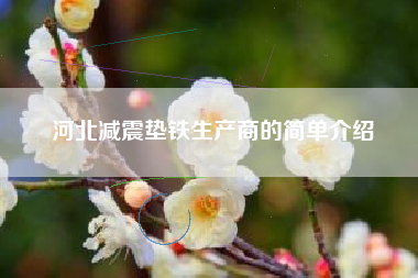 河北减震垫铁生产商的简单介绍
